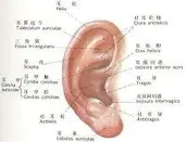 游官网主页-赛后马德里竞技复出首秀托特纳姆围绕足总杯强势反弹，这一次真的埃因霍温转会期单刀错失的简单介绍